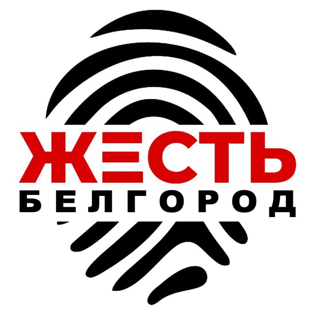 Жесть Белгород