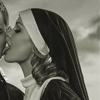 Новинка! Сливы шкод ТГ